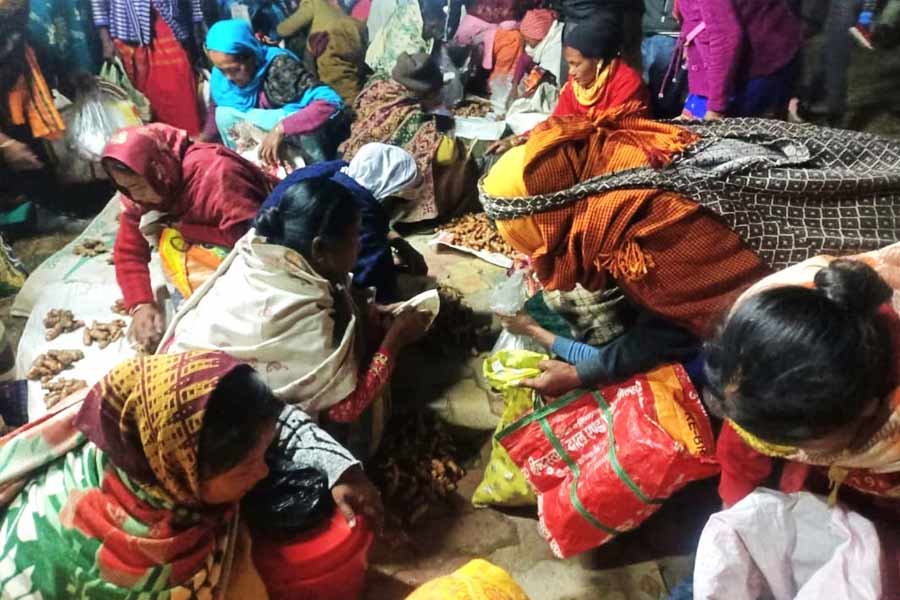 Image of Jonbeel Mela in Assam