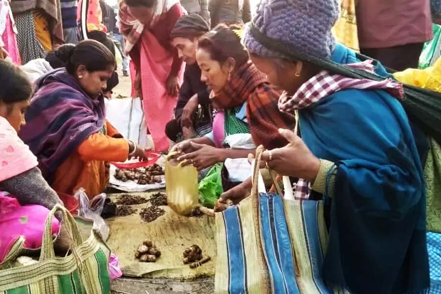 Image of Jonbeel Mela in Assam