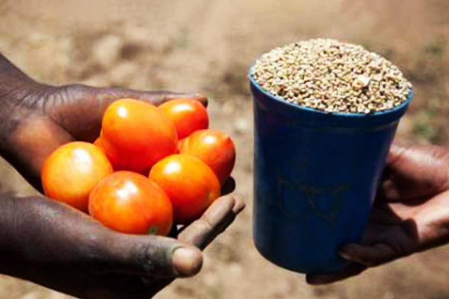 Image of Jonbeel Mela in Assam