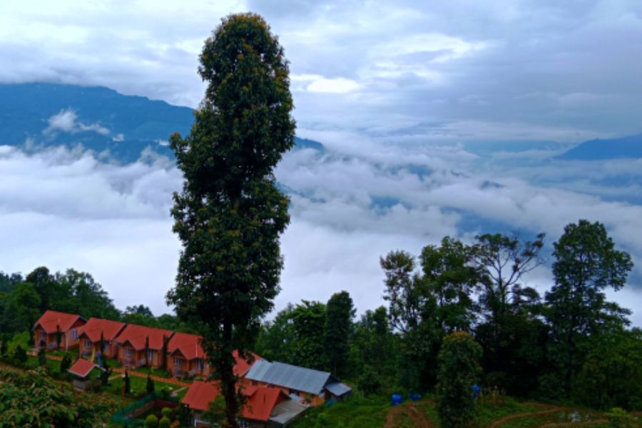 ৮. চিবো: হিমালয়ের কোলে মেঘে ঢাকা একটা ছোট্ট গ্রাম চিবো। যদি হাতে মাত্র চার দিনও সময় থাকে,  ঘুরে আসতে পারেন। কালিম্পং থেকে চার কিলোমিটারের কিছুটা বেশি দূরত্বে,  ৪১০০ ফুট উচ্চতায় এই গ্রামটির সঙ্গে এখনও টুরিস্টদের বেশি জানাশোনা হয়নি। চিবোতে থাকার জায়গা একটিই রিসর্ট,  ‘চিবো ইন’। পাহাড়ের ঢালে ছড়ানো ছোট-ছোট কাঠের কটেজ। তাতে বহু বিদেশি সমাগমের কারণে আধুনিক অনেক সুবিধেই পাবেন।  নিউ জলপাইগুড়ি/শিলিগুড়ি থেকে ৭৬ কিলোমিটার দূরত্বে  অবস্থিত এই গ্রাম। থাকা খাওয়ার খরচ মাত্র ১৪০০ টাকা। 