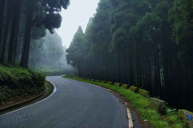 ১০. লেপচাজগৎ: দার্জিলিং থেকে মাত্র ১৯ কিলোমিটার দূরত্বে রয়েছে লেপচাজগৎ। লেপচাজগতে ‘মেঘ গাভীর মতো চরে’। পাইনে ঘেরা এই পাহাড়ি জনপদে মাঝে মাঝে ঢাকা পড়ে যায় একরাশ কুয়াশায়। মূলত লেপচা অধিবাসিত গ্রাম, তাই নাম লেপচাজগৎ। গ্রামকে ঘিরে রয়েছে ওক, পাইন, রডোডেনড্রনের সমাহার। দার্জিলিং থেকে ঢিল ছোঁড়া দূরত্বে অবস্থিত জায়গাটি সত্যিই অতুলনীয়। এখানে সহজেই হারিয়ে যাওয়া যায় কুয়াশা মাখা প্রকৃতির কোলে।