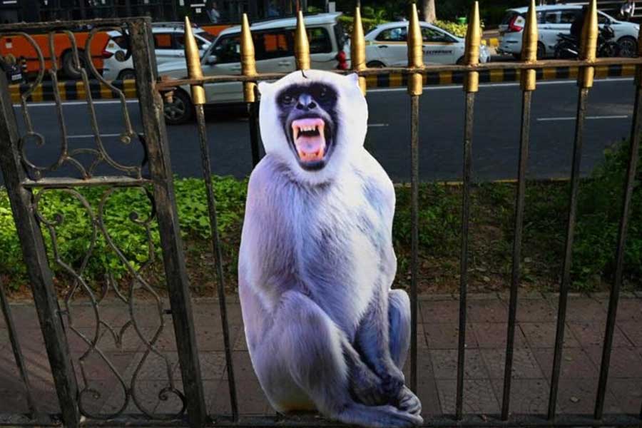 শনিবার, ৯ সেপ্টেম্বর সকাল। দিল্লি। ভারতের অতিথি হয়ে আসা এক বিদেশি রাষ্ট্রনেতা দাঁড়িয়ে আছেন রাজধানী শহরের রাস্তায়। হঠাৎ তাঁর কাঁধে লাফ দিল এক বাঁদর! কিংবা হয়তো দেখা গেল মশার কামড় খেয়ে ধুম জ্বর কোনও রাষ্ট্রপ্রধানের। তিনি যোগ দিতেই পারলেন না জি২০ সম্মেলনে।  জি২০-র আয়োজনে ভারতীয় আয়োজকরা যদি কোনও দুঃস্বপ্ন দেখে থাকেন তবে নিঃসন্দেহে, সেগুলো এমনই! হয়তো তাই সম্মানীয় অতিথিদের  জন্য বিপুল আয়োজনের পাশাপাশি দিল্লির বাঁদরদের সামলাতেও আলাদা দল গড়েছে কেন্দ্র। তৈরি করা হয়েছে মশানিধনের বিশেষ ‘টিম’ও।