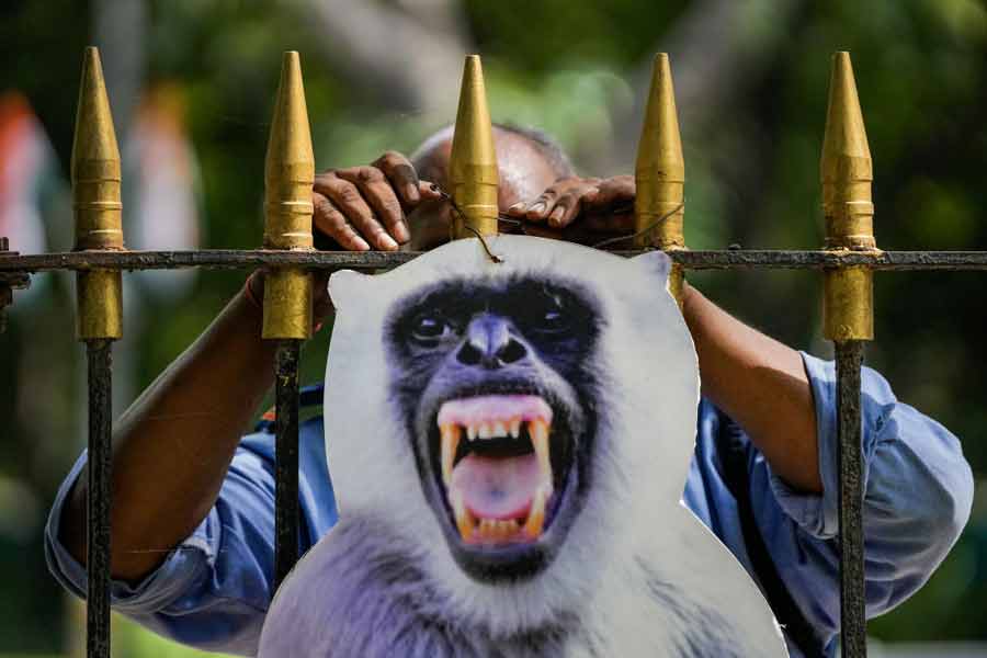 তবে এই ব্যবস্থাপনায় আলাদা করে উল্লেখ করতেই হয় ‘মাঙ্কি মেন’-এর কথা। দিল্লির রাজপথে বাঁদর তাড়ানোর জন্য যে বিশেষ বাহিনী তৈরি করেছে কেন্দ্র তার নাম দেওয়া হয়েছে ‘মাঙ্কি মেন’। মোট ৩০ জন সদস্যের এই বাহিনীর একমাত্র কাজ হবে বাঁদরদের তফাতে রাখা। 