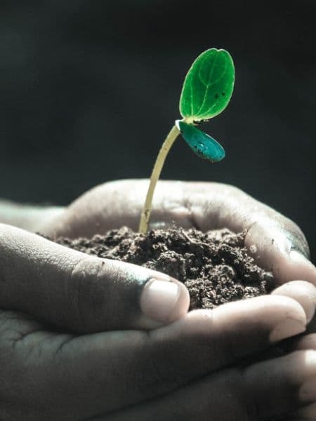 Man discovered the secret of death, 5 thousand people share their after death experience dgtl