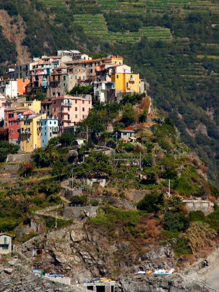 Landslides And Cloudbursts in Himachal Pradesh Because People Eat Meat Says IIT Mandi Director dgtl