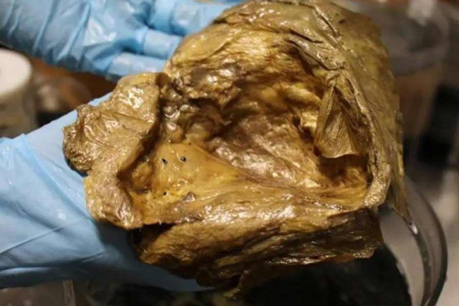 Golden orb inside the Pacific Ocean confuses scientists.