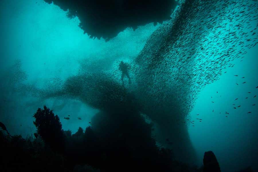 Golden orb inside the Pacific Ocean confuses scientists.