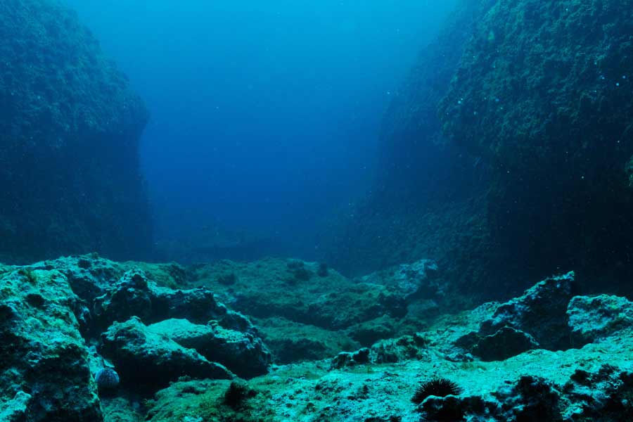 Golden orb inside the Pacific Ocean confuses scientists.