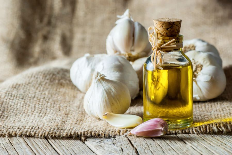 Garlic oil