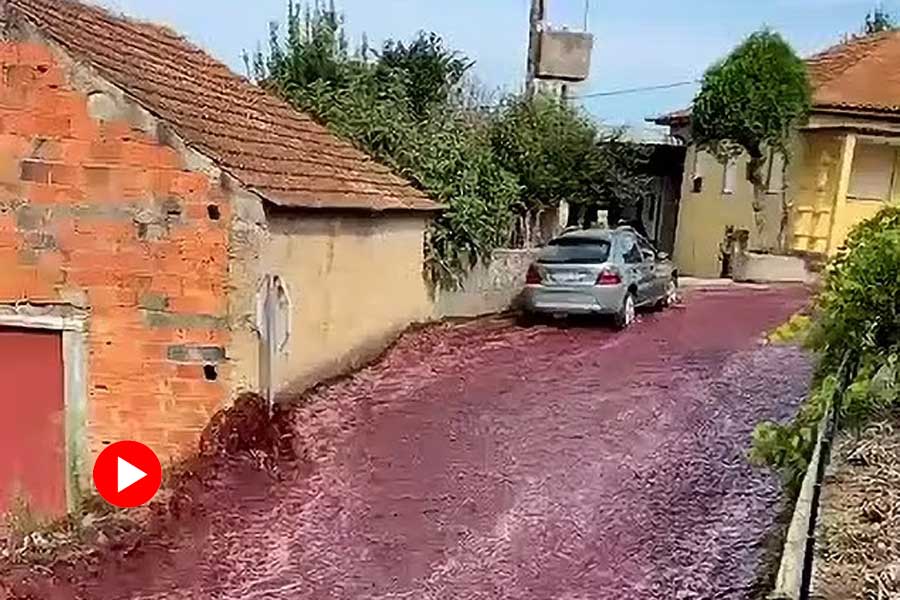 Image of River of Wine in Portugal