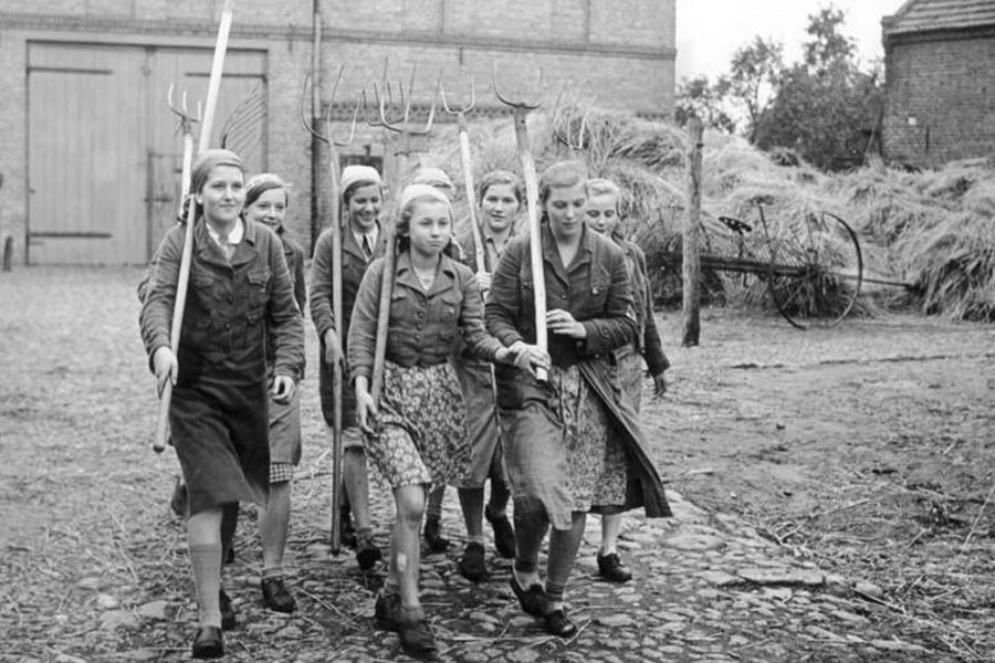 Representational image of Irma Grese