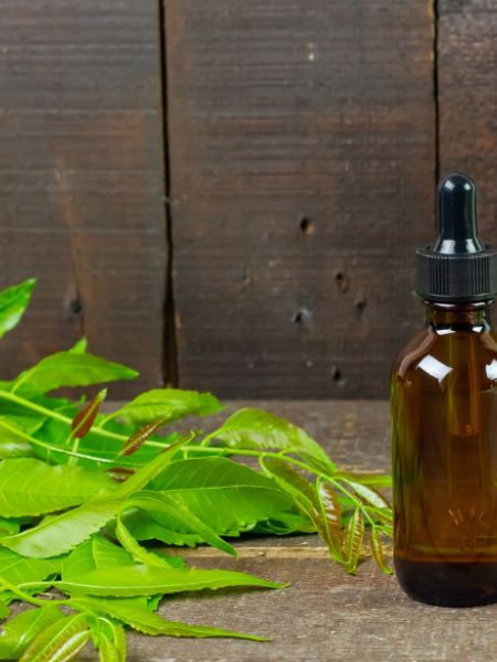 Eat Neem Leaves on an Empty Stomach to stay away from these four  diseases dgtl