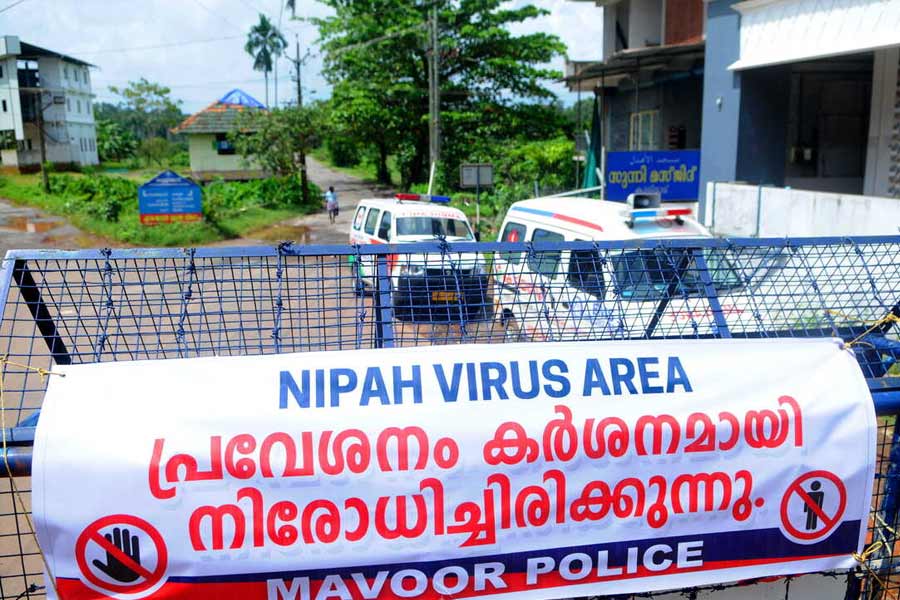 Kerala Nipah deaths: 7 villages declared containment zones, schools closed