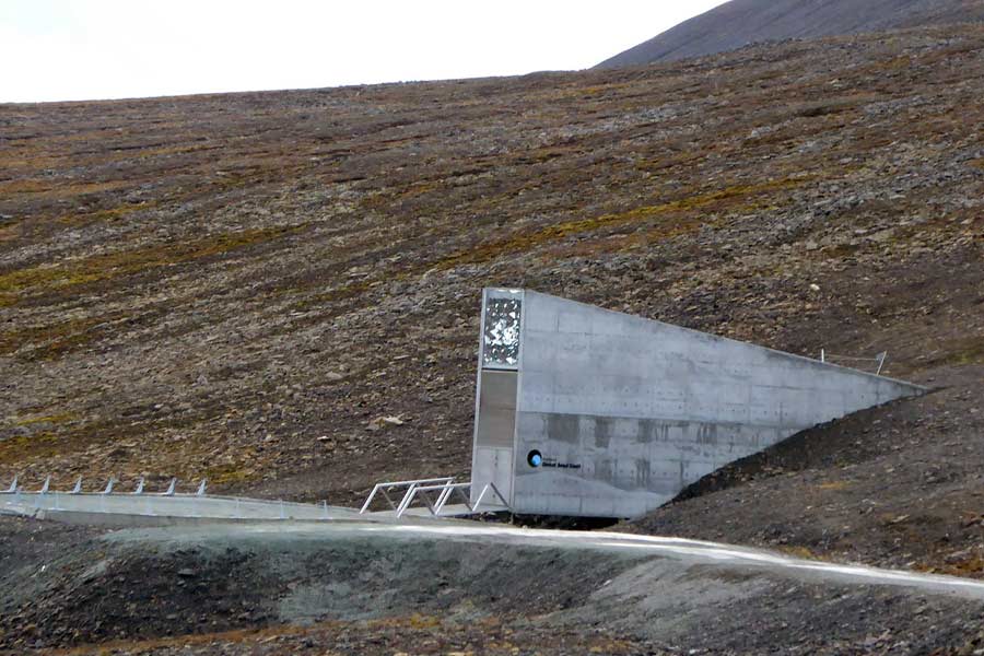 ভবিষ্যতের কথা মাথায় রেখেই তৈরি করা হয়েছে এই ভল্ট। নরওয়ে সরকারের হাতে গড়া এই ভবনে রয়েছে মানব ইতিহাসের ১৩,০০০ বছরের কৃষিকাজের ফসল।