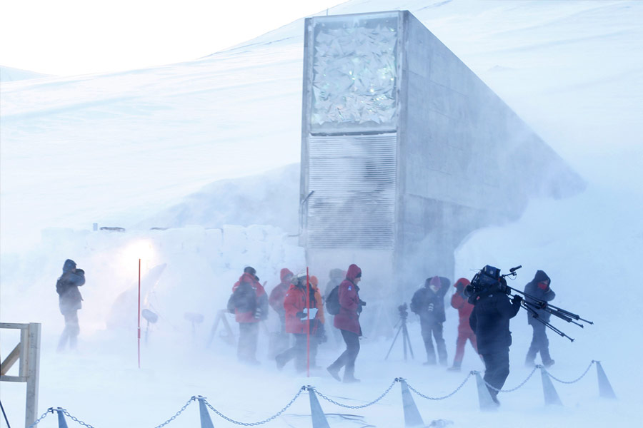 এতে রয়েছে ভারত-সহ বিশ্বের নানা দেশ থেকে সংগৃহীত অসংখ্য বীজের ৯৯টি জিনব্যাঙ্ক। সংরক্ষিত করা হয়েছে ৬,১২০ প্রজাতির শস্যবীজের নমুনা। রয়েছে ৯,৩০,০০০ শস্যদানা। শুধুমাত্র চালের নমুনাই রয়েছে ২ লক্ষ ধরনের। এবং এই সংখ্যাটি ক্রমশ বৃদ্ধি পাচ্ছে।