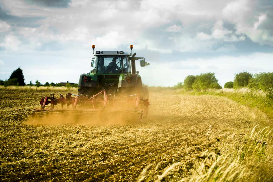 আধুনিক সভ্যতার এই ‘অভিশাপেই’ ভবিষ্যতে খাদ্যসুরক্ষায় অভাব দেখা দিতে পারে। মূলত সেই আশঙ্কা থেকেই শস্যদানার বীজ সংরক্ষণের চিন্তাভাবনার শুরু। যাতে ভবিষ্যতে কোনও সময় প্রাকৃতিক বিপর্যয়, যুদ্ধ বা অতিমারির প্রকোপে শস্যের প্রজাতিগুলি চিরতরে বিনষ্ট হয়ে গেলেও কৃষিকাজ চালিয়ে যাওয়া যায়।