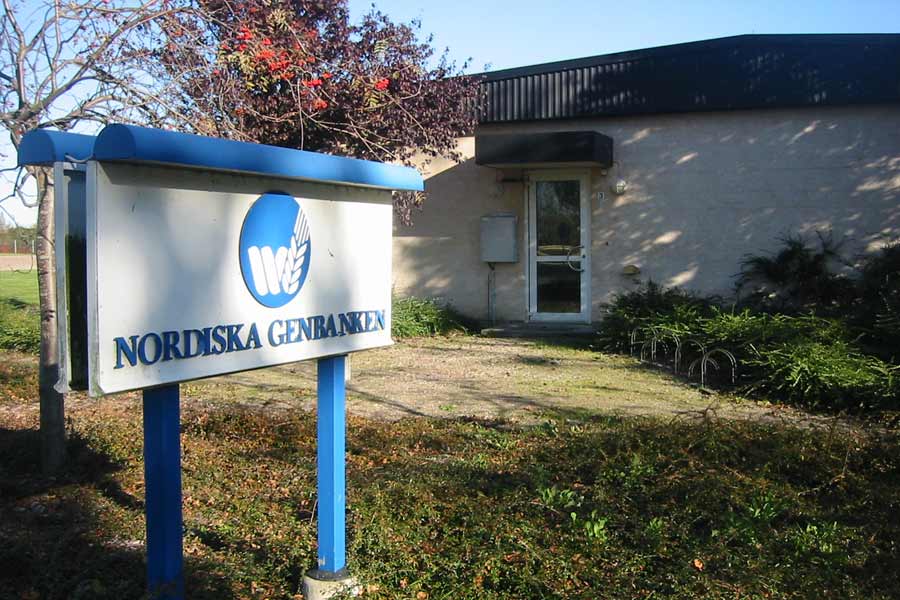 ‘স্বোয়ালবার্ড গ্লোবাল সিড ভল্ট’-এর ভাবনা শুরু হয়েছিল আশির দশকে। ১৯৮৪ সালে নরওয়ের লংগিয়ারবায়েন এলাকায় অদূরে একটি পরিত্যক্ত কয়লাখনিতে নানা শস্যের হিমায়িত বীজের নমুনা সংরক্ষিত করতে শুরু করে নর্ডিক জিনব্যাঙ্ক (বর্তমানের নর্ডজেন)।