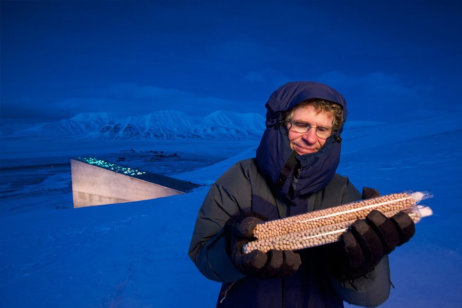 স্বোয়ালবার্ডের বরফে ঢাকা প্রান্তরে ভল্টের প্রবেশপথ রয়েছে একটি আয়তাকার বিল্ডিংয়ে। সাধারণের জন্য যার  দরজা সব সময়ই বন্ধ থাকে। তবে এর ১৫তম বর্ষপূর্তিতে উৎসাহীদের জন্য ভার্চুয়াল ট্যুরের বন্দোবস্ত করেছিল নরওয়ে সরকার।