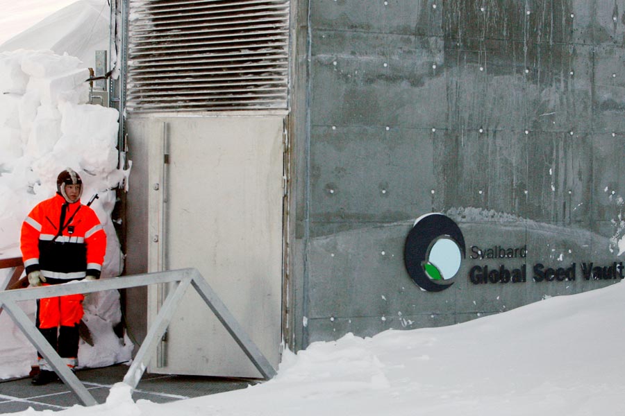 প্রবেশপথের দরজা পেরিয়ে ভিতরে ঢুকলে নজরে পড়ে একটি সংক্ষিপ্ত সুড়ঙ্গ। যেখানে পা রাখলে শীতাতপ নিয়ন্ত্রণকারী যন্ত্রের বৈদ্যুতিন আওয়াজ ছাড়া আর কিছুই শোনা যায় না। গোটা সুড়ঙ্গপথটি অসংখ্য আলোয় জ্বলজ্বল করে।