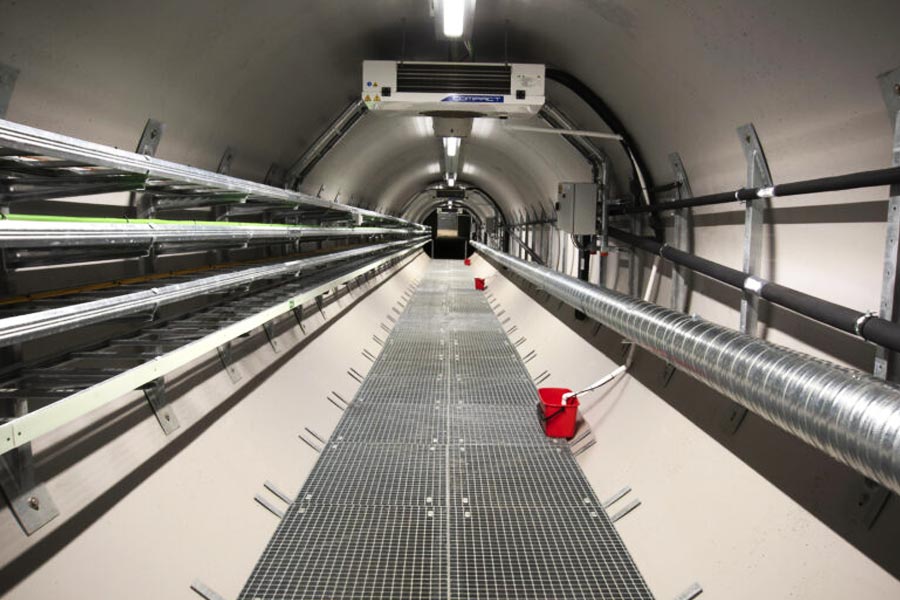 কংক্রিটের সেই সুড়ঙ্গপথে এগোতে থাকলে ৪৩০ ফুট গভীরে চলে যাওয়া যায়। সুড়ঙ্গের শেষে গিয়ে নজরে পড়বে কয়েকটি দরজা। তার মধ্যে একটি দরজা খুলে পৌঁছে যাওয়া যায় মূল চেম্বারে। সেই চেম্বারে তিনটি ভল্ট রয়েছে। তার মাঝের ভল্টটিতে হিমায়িত বীজগুলি রাখা রয়েছে।