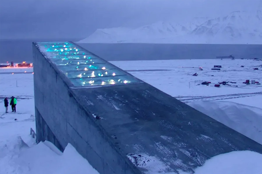 বিশ্ব জুড়ে এ ধরনের ১,৭০০ জিনব্যাঙ্ক বা ভল্ট রয়েছে। নতুন ধরনের বীজ তৈরির কাজে, সংরক্ষণ করার জন্য এবং গবেষণার ক্ষেত্রে আন্তর্জাতিক স্তরে বীজের আদানপ্রদানও হয়। তবে নরওয়ের এই ভল্টটিকে ঘিরে এত উৎসাহী কেন বিশ্ববাসী? ক্রপ ট্রাস্টের প্রধান পার্টনারশিপ কো-অর্ডিনেটর ব্রায়ান লেইনফ বলেন, ‘‘এই ভল্টের ভিতরে ১৩,০০০ বছরের কৃষিকাজের ইতিহাস ছড়িয়ে রয়েছে।’’