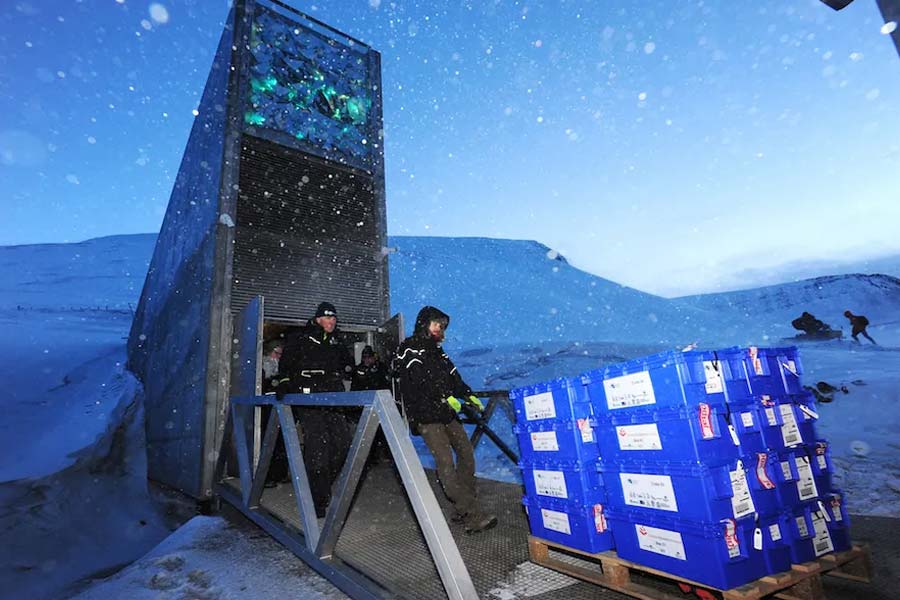 শুধু কি সেটিই একমাত্র কারণ? বিশ্বের নানা প্রান্তে ভৌগোলিক-রাজনৈতিক উত্তেজনার আবহ থাকলেও ‘ডুমসডে ভল্টে’ তার চিহ্নমাত্র নেই। মানবজাতির স্বার্থে এখানে মিলেমিশে রয়েছে আমেরিকা, উত্তর কোরিয়া এবং চিনের শস্যদানা। সামরিক ক্ষেত্রে রাশিয়া এবং ইউক্রেন যুযুধান হলেও দু’দেশের থেকে আসা হিমায়িত বীজও একে অপরের বাক্সে শায়িত।