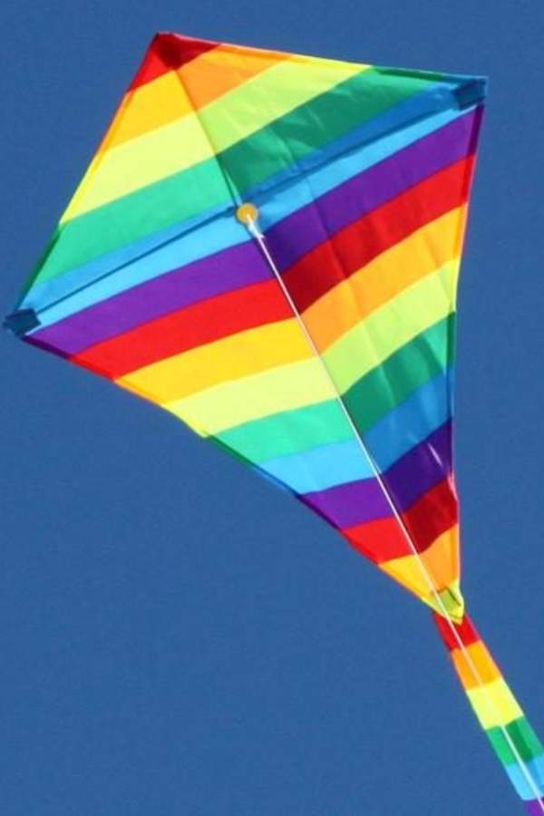  অবাক হবেন।— ডায়মন্ড ঘুড়ি,  বার্ন ডোর,  ডোপিরো,  রোলার,  স্লেড,  ডেল্টা,  বক্স এবং অক্টোপাস ঘুড়ি। তাদের আকারও সব অন্য রকম। 