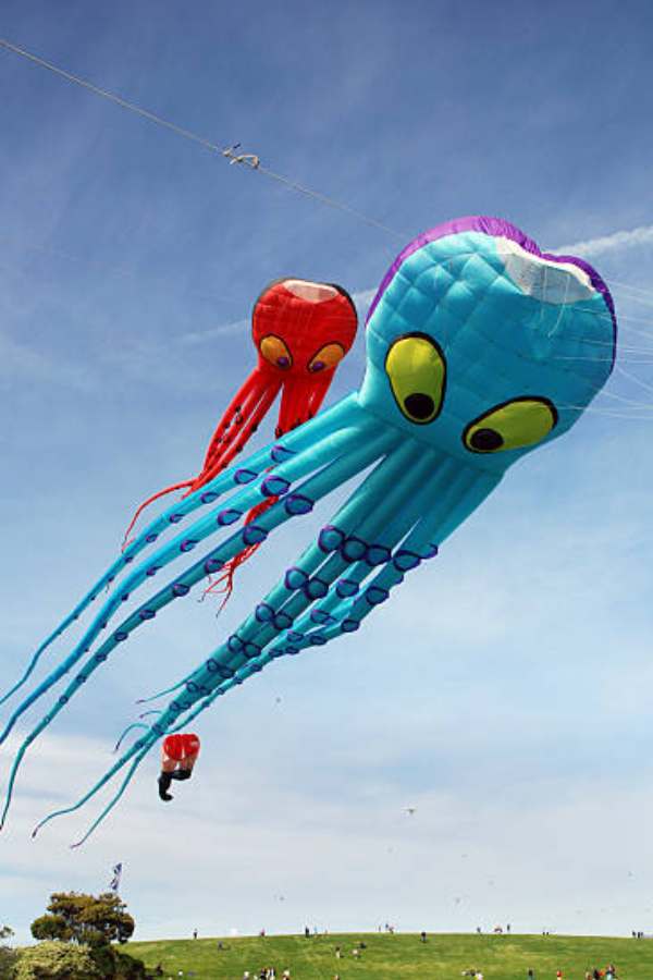 স্লেড ঘুড়ি যেমন অনেকটা প্যারাসুটের মতো দেখতে।  অক্টোপাস ঘুড়ি আবার হুবহু অক্টোপাসের মতো চেহারা! সমুদ্র সৈকতে অক্টোপাস ঘুড়ি উড়তে খুব দেখা যায়। 