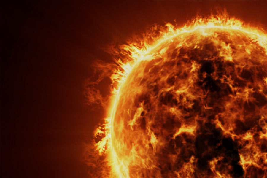 All you need to know about micro animal Water Bear