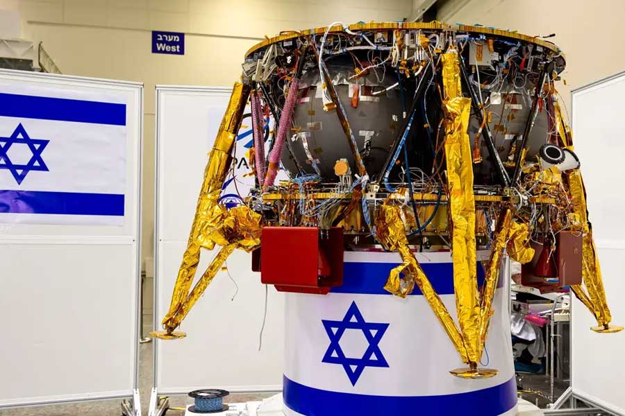 All you need to know about micro animal Water Bear