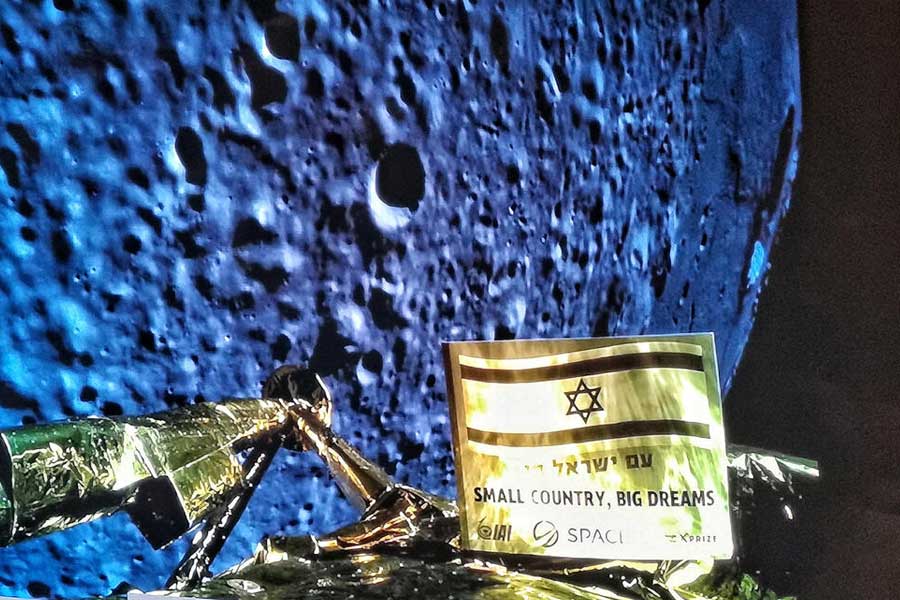 All you need to know about micro animal Water Bear