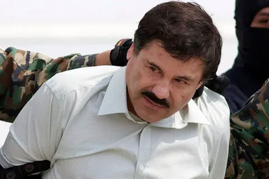 ১৯৫৭ সালের মেক্সিকোর সিনালোয়ায় জন্ম জোয়াকিনের। এল চ্যাপো নামেই বেশি পরিচিত তিনি। বাবার হাত ধরেই মাদক দুনিয়ায় পা রাখেনতিনি। তার পর ওতপ্রোত ভাবে অন্ধকার দুনিয়ার সঙ্গে যুক্ত হয়ে পড়েন এল চ্যাপো।