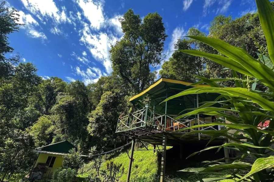 সুন্তালেখোলা--- শুধু পশ্চিমবঙ্গের বাইরে কেন,  খোদ উত্তরবঙ্গের ডুয়ার্স এলাকার জঙ্গলের মধ্যেই লুকিয়ে রয়েছে সুন্তালেখোলা। নেওরা ভ্যালির কাছেই এই জায়গাটি বিশেষ ভাবে পরিচিত অপুর্ব জলহাওয়ার জন্য। টিলা, পাহাড়ি ঝোরা, অফুরন্ত গাছ, অসংখ্য পাখি। এক টুকরো স্বর্গ বুঝি। 