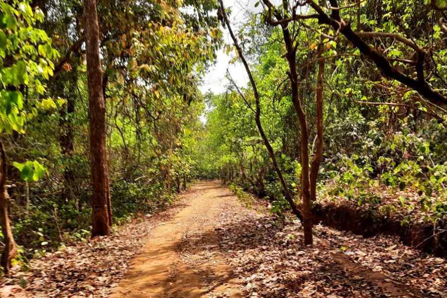 এখানে আছে এক ভাল লাগার গল্প, যে গল্প শুরু হয় ছোট্ট স্টেশনটিতে পা  ফেললেই । মাথা উঁচু, লম্বা শালগাছের ঘেরাটোপে থাকা এই স্টেশনের নাম বারবিল।