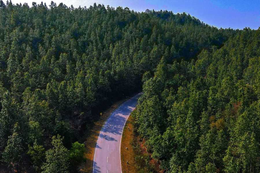 সরীসৃপের মতো শুয়ে থাকা অলস পথ বাঁকে ফুলবাড়ির জঙ্গলে। কচি সবুজের শাল জঙ্গল বার্ধক্য ঝেড়ে ফেলে তার পায়ের নীচে শুকনো পাতার স্তূপে। উঁচু মাথা টিলা পাহাড়েরা ভরা দুপুরে নদীর আয়নায় মুখ দেখে নেয় গোপনে। শ্রীহীন আদিবাসী গ্রাম আটকে থাকে  মহুয়ার গন্ধজালে। লাল কুসুমের পাতারা হাত বাড়ায় সই পাতানোর অছিলায়।