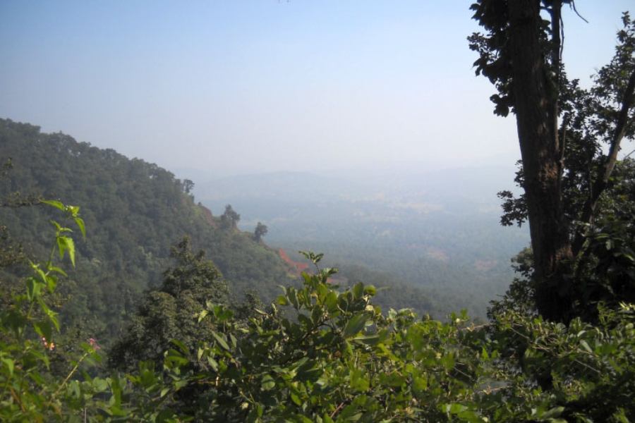 প্রকৃতি চেনানোর সহজ পাঠের সফরে মেতে ওঠা আদিবাসী গাড়িচালক শিবশঙ্কর, ধান্নো বা বাবুলা অকপটে কলকাতার বাবুদের শোনায় জঙ্গলগাথা। চেনায় বহেড়া, লাল-কুসমি, সেগুন, শাল, আমলকি, আর লেবুগাছের প্রকৃতি বাসর। হো, মুন্ডা, ওঁরাও বা সাঁওতালদের দাওয়াতে আদিবাসী জীবনের মতোই শুকোতে থাকা হলুদ ফুলের গন্ধে ডুবতে ডুবতে মহুয়ার মৌতাত নিতে শেখায় তারা।  দেখায় হাতি চলাচলের পথ। 