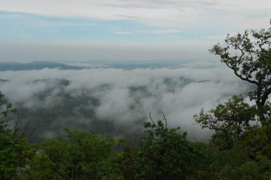 রাস্তা শেষ হয়  স্বপ্নেশ্বর শিবের আপন থানে। পুরোহিত ফুল চড়ায় মহাকালের মাথায়। পায়ের নীচে হাজার পাথরের ফাঁকে লুকোচুরি খেলে পথ খুঁজে নেওয়া কারো নদীর শব্দ ভাসে কানে।