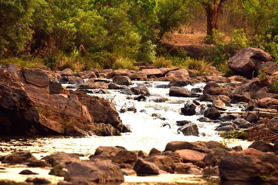 নিশুতি রাতে শুক্লপক্ষের মায়াবী  চাঁদের রুপোলি আলোর ছটা যখন মাথা উঁচু করে জেগে থাকা গাছপালা আর থমকে থাকা টাঁড়-টিলা-পাহাড়ের সঙ্গে আলাপ জমায়, হলুদ বসন্ত পাখি যখন আমলকি গাছের কোটরে নিশ্চিন্তে রাত কাটায়, চুপিচুপি ঝরে পরা রাত শিশিরের মিহি চুমুতে লোহা পাথরের বুক যখন গলতে থাকে ধীরে ধীরে, ঠিক তখনই জঙ্গলের অন্য প্রান্তে ভেসে আসা অস্পষ্ট মাদলের বোল জানান দেয় ফি শুক্কুরের হাট বসেছে ডব্লিউ হাটিং-এ।