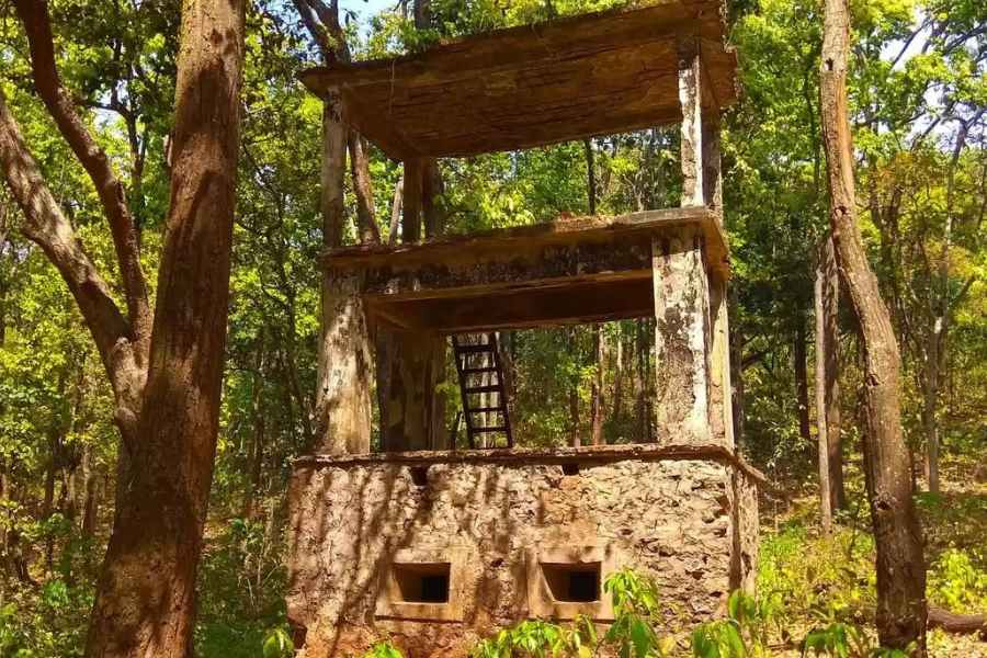 পরদিনও জঙ্গলসফর। শিবশঙ্করের বোলেরো সেঁধিয়ে যায় লাল সরাণের অন্দরে। হলদে সবুজ রোদ আর পাতারা কাটাকুটি খেলে আনমনে। দেখা হয় লাল নদী কারো আর ঝিকিরা ঝর্না। আগুনে ছায়ার ফাঁকে জীবনানন্দের কবিতা তৈরি হয় কাঁচপোকার পিঠে। এর পরে গাড়ি ঘোরে অন্য জঙ্গলের পথে। ঠাকুরানী পাহাড়ের পায়ের নীচে এ জঙ্গল জটেশ্বরের। অসহ্য এক নীরবতা জঙ্গলকে এনে ফেলেছে এক প্রাগৈতিহাসিক যুগে। মিহি জলের ঝিরঝিরে শব্দ নেশা জাগায় মাতাল মনে। 