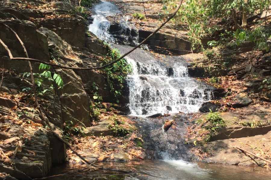 পরের ভোর অলসতার নয়, ব্যস্ততার। তাই অনুমতি পত্র আর বানিয়ে নেওয়া খাবারে তৈরি হয়ে সোজা সারান্ডার অন্দরে। ডিএফও অফিসে অনুমতির নীলছাপ্পায় গাড়ি ঢোকে মেঘাতাবুরুর গহীনে। জঙ্গলের গভীরতার সবুজ অন্ধকার, কেন্দু আর মহাশালের নীরবতায় বুক কাঁপে আশঙ্কায়। গাড়ি থামে থলকোবাদের দোরগোড়ায়। শুকনো পাতার শতরঞ্চিতে বসলে মন থেকে হামাগুড়ি দিয়ে বেড়িয়ে আসে ছোটবেলার ভাস্কো ডা গামা আর লিভিংস্টোনেরা। 