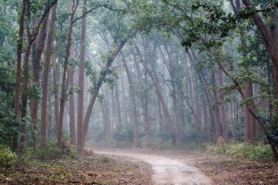 প্রয়োজনীয় তথ্য--- যাওয়া: কিরিবুরু আর মেঘাতাবুরু হল ওড়িশা (কেওনঝড়) ও ঝাড়খণ্ডের ( পশ্চিম সিংভূম) হাত ধরাধরি করে থাকা দু'টি যমজ জনপদ। যাওয়া ও আসার হাওড়া থেকে একমাত্র ট্রেন হাওড়া-বারবিল জনশতাব্দী এক্সপ্রেস। আপ ১২০২১: ছাড়ে সকাল ৬টা ২০ ও বারবিল পৌঁছয় বেলা ১২টা ৫০ । ডাউন ১২০২২:  বারবিল স্টেশন থেকে ছাড়ে দুপুর ১টা ৪০ মিনিটে ও পৌঁছয় রাত ৮টা ৫৫-তে)। সারান্ডা সফরে একমাত্র অনুমতিপ্রাপ্ত গাড়ি যায়, তাই বারবিলকে কেন্দ্র করে এই সফর করতে প্যাকেজে টুর করাই বুদ্ধিমানের কাজ।