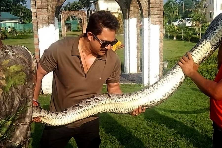 Tollywood actor Soham Chakraborty faces criticism after posting a photo with an Indian Rock Python on social media