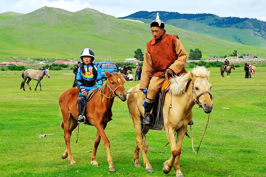 image of horses in mongolia 