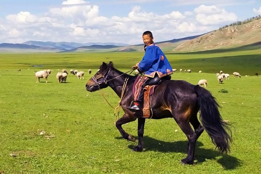 মঙ্গোলিয়ার অন্যতম বৈচিত্র্য হল ঘোড়া। সে দেশে প্রায় ৪০ লক্ষ ঘোড়া রয়েছে। অর্থাৎ মানুষের থেকেও দেশে ঘোড়ার সংখ্যা বেশি।