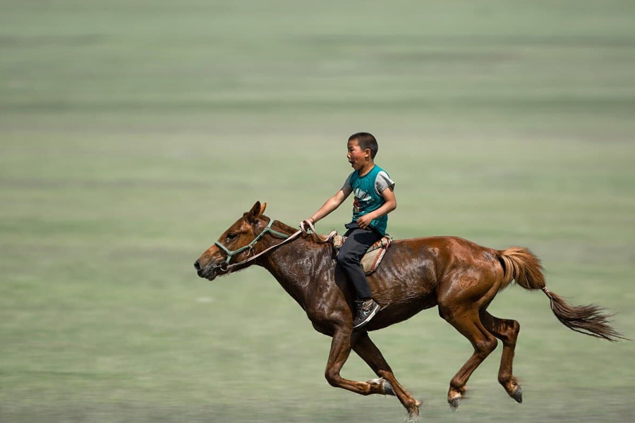 image of horse riding 