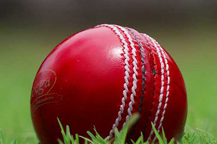 Image of Cricket ball