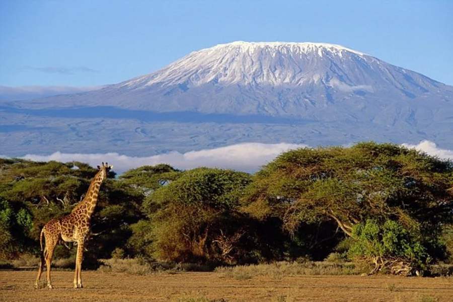 উপন্যাসের পটভূমি পূর্ব আফ্রিকার দেশ তানজানিয়ার অন্তর্গত কিলিমাঞ্জারো পর্বতমালা আর তাকে ঘেরা ভয়াল দুর্গম জঙ্গল! এর পর তানজানিয়া কেন বাঙালির প্রিয় সেটা আর বলে দিতে হয়? তার চেয়ে বরং দেওয়া যাক পুজোয় তানজানিয়া ভ্রমণের সুলুকসন্ধান। 