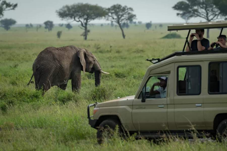তানজানিয়ার ক্ষমতাসীন চামা চা মাফিন্দুঝি বা সিসিএম ১৯৯২ সাল পর্যন্ত দেশের একমাত্র বৈধ অনুমোদিত রাজনৈতিক দল ছিল। অবশেষে ২০১৫ সালে জন মোগুফুলি প্রেসিডেন্ট নির্বাচনে জয়ী হওয়ার পাশাপাশি সংসদে দুই-তৃতীয়াংশ সংখ্যাগরিষ্ঠতা অর্জন করে প্রজাতন্ত্র কায়েম করেন। তানজানিয়ার অন্যান্য দল বা প্রধান বিরোধী দলকে বলা হয় চ্যাডামা। 