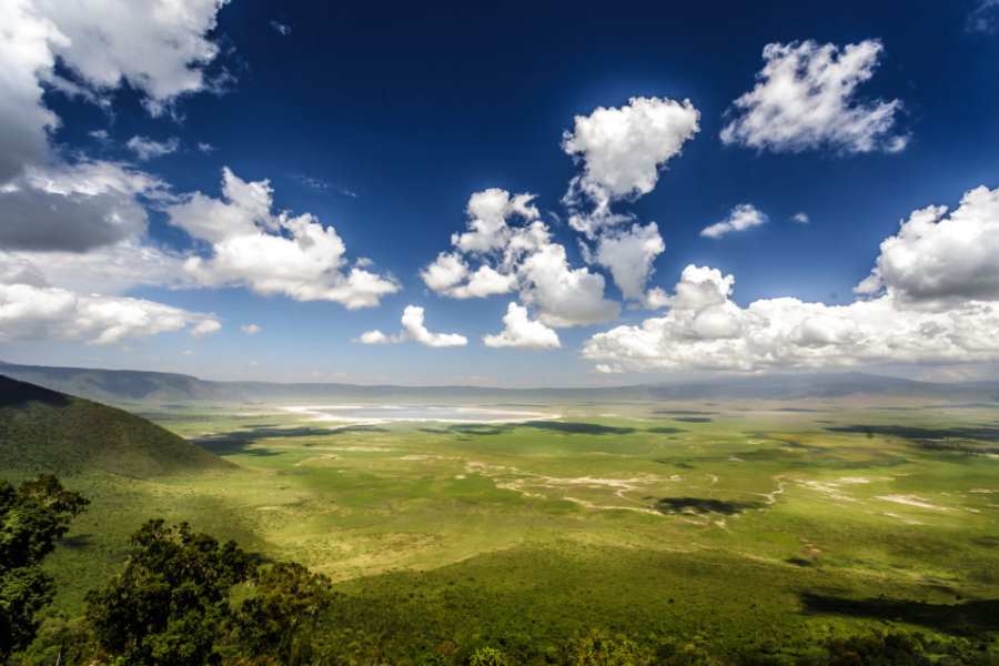 ক্রিকেট বিশ্বকাপের ৪৮ বছরের ইতিহাসে ভারতীয় দলের প্রথম ম্যাচ জয় যেমন ১৯৭৫-এ পূর্ব আফ্রিকার বিরুদ্ধে, তেমনই চলতি বিংশ শতাব্দীতে ভারতের ক্রিকেট দলের সঙ্গে যখনই দক্ষিণ আফ্রিকা বা জিম্বাবোয়ে সফরে গিয়েছেন সচিন-সৌরভ, সময় পেলেই ছুটেছেন তানজানিয়ায়। 'শঙ্কর' হতে চেয়ে! কিলিমাঞ্জারো, লেক ভিক্টোরিয়া চষে বেরিয়েছেন। 