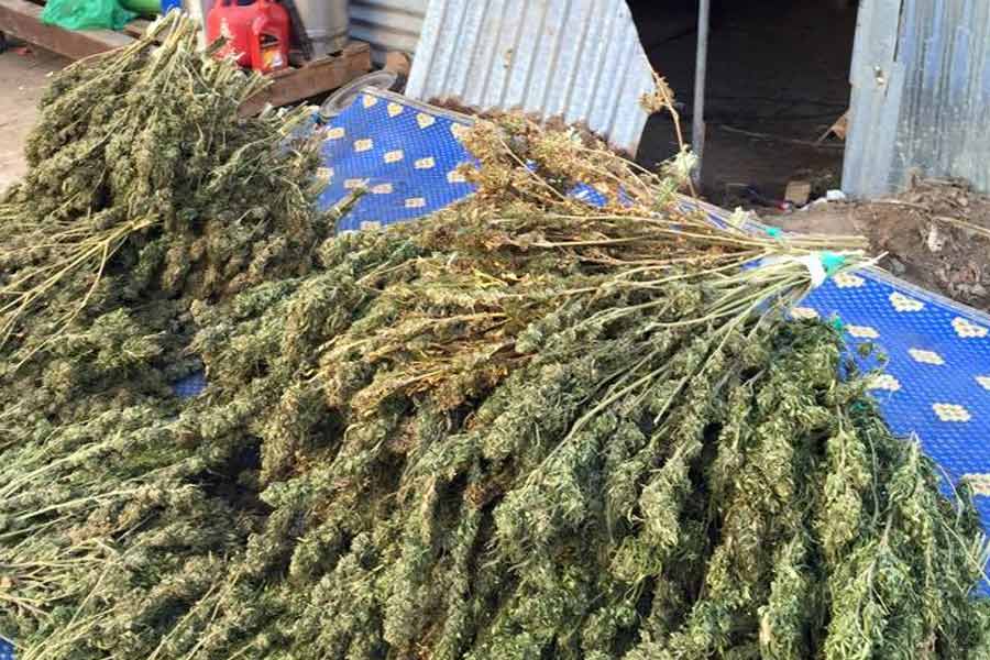 Temple is forced to vacant after Monks Fail drug Test in Thailand